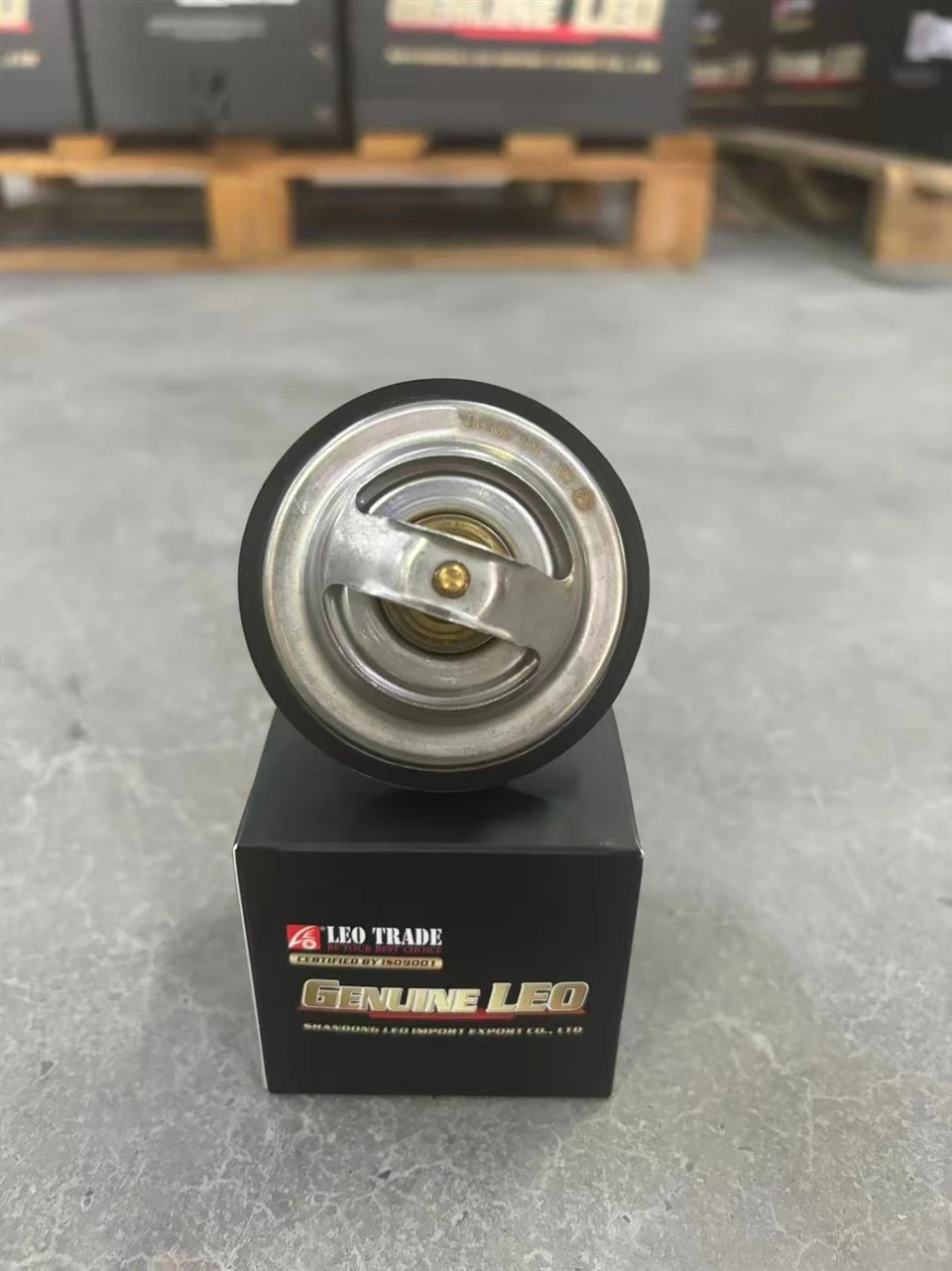 61800060172 Thermostat For Weichai Engine factory