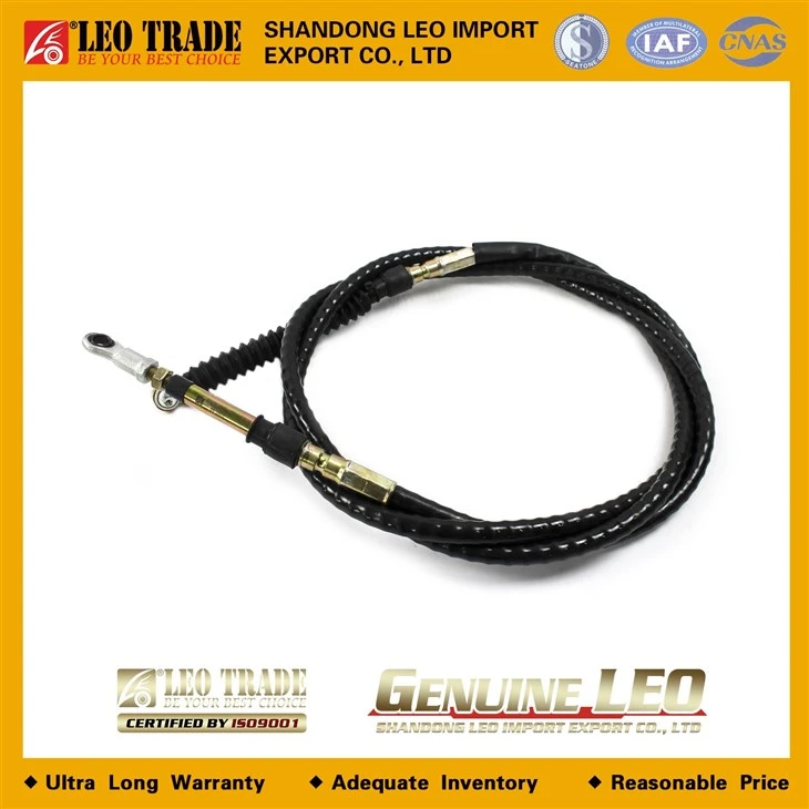 LEO200286A